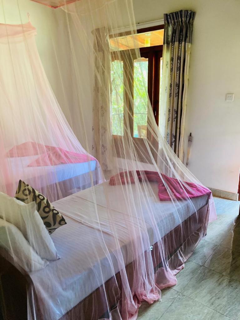 Silent Nest Bed and Breakfast Ella Esterno foto