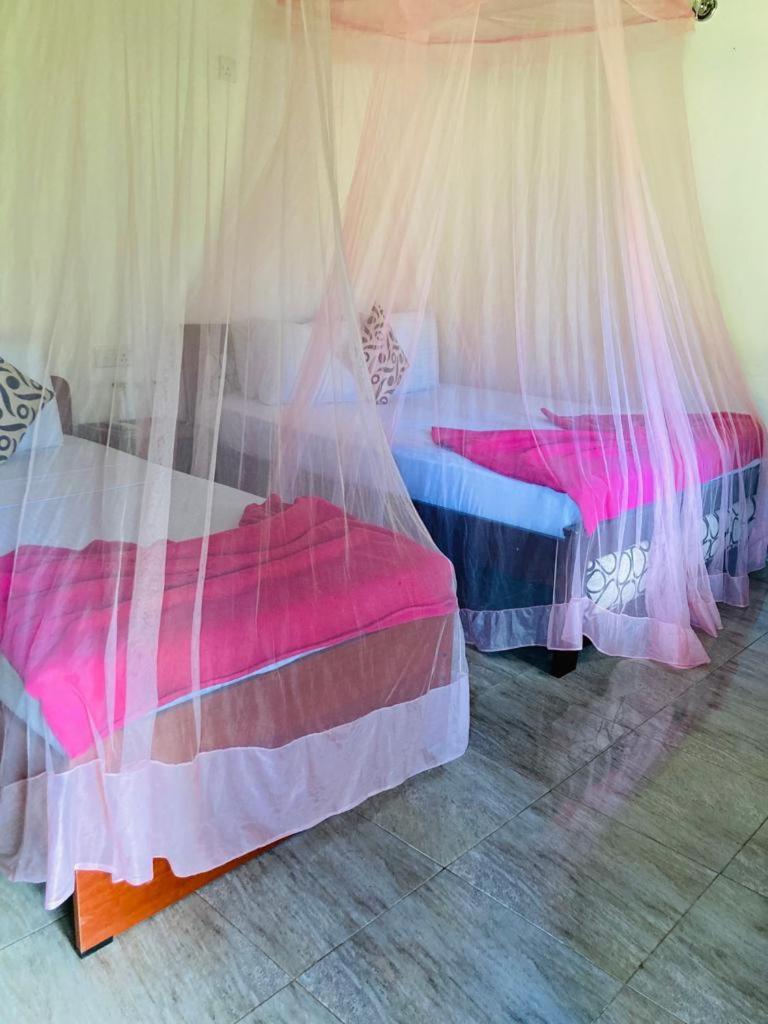 Silent Nest Bed and Breakfast Ella Esterno foto
