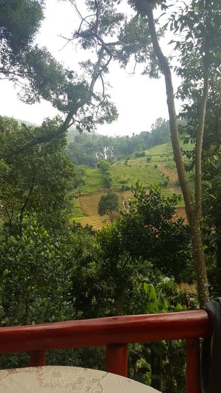 Silent Nest Bed and Breakfast Ella Esterno foto